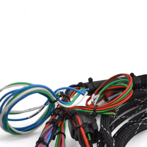 Racewerx 92-95 Civic / 94-01 Integra K Series Swap Conversion Harness Racewerx 92-95 Civic / 94-01 Integra K Series Swap Conversion Harness