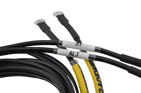 Racewerx K/B Series Charge Harness Racewerx K/B Series Charge Harness