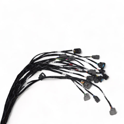 Racewerx B/D/H/F Series Budget Tucked Engine Harness Racewerx B/D/H/F Series Budget Tucked Engine Harness