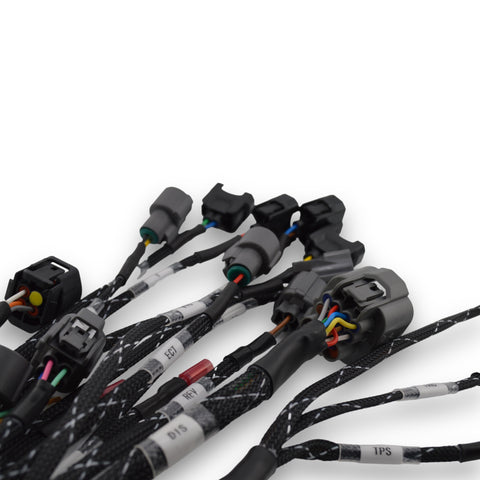 Racewerx B/D/H/F Series Budget Tucked Engine Harness Racewerx B/D/H/F Series Budget Tucked Engine Harness