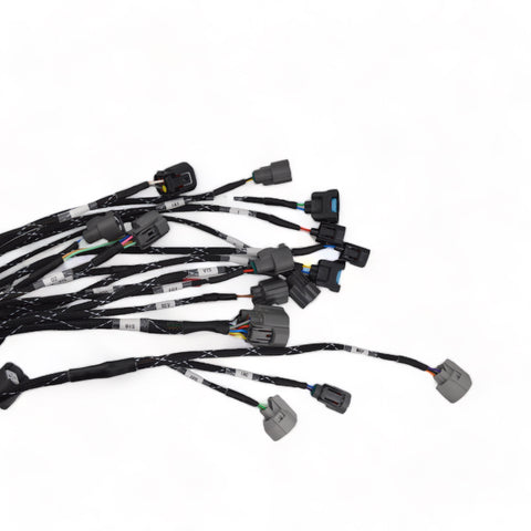 Racewerx B/D/H/F Series Budget Tucked Engine Harness Racewerx B/D/H/F Series Budget Tucked Engine Harness