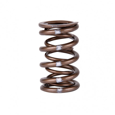Skunk2 Pro Series Honda/Acura K-Series i-VTEC XP Valve Spring Set Skunk2 Pro Series Honda/Acura K-Series i-VTEC XP Valve Spring Set