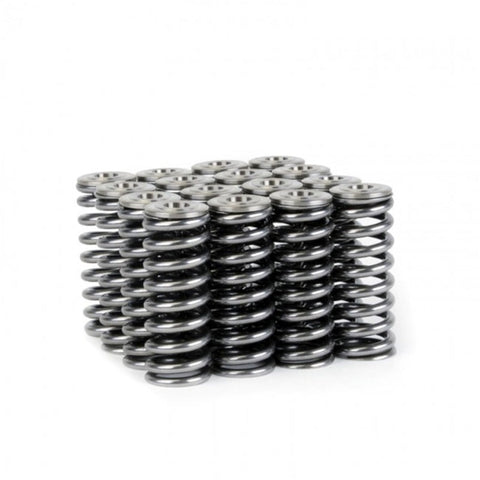 Skunk2 Alpha Series Honda/Acura D Series Valve Spring and Titanium Skunk2 Alpha Series Honda/Acura D Series Valve Spring and Titanium
