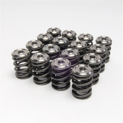 Skunk2 Alpha Series Honda/Acura B Series Valve Spring and Titanium Skunk2 Alpha Series Honda/Acura B Series Valve Spring and Titanium