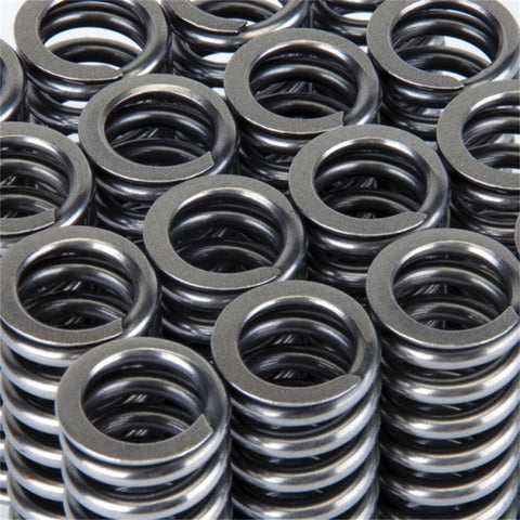 Skunk2 Alpha Series Honda D Series VTEC Valve Spring Set Skunk2 Alpha Series Honda D Series VTEC Valve Spring Set