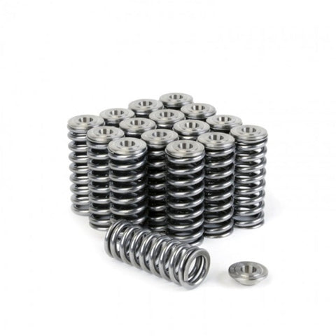 Skunk2 Alpha Series Honda/Acura D Series Valve Spring and Titanium Skunk2 Alpha Series Honda/Acura D Series Valve Spring and Titanium