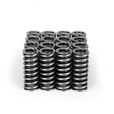 Skunk2 Alpha Series Honda D Series VTEC Valve Spring Set Skunk2 Alpha Series Honda D Series VTEC Valve Spring Set