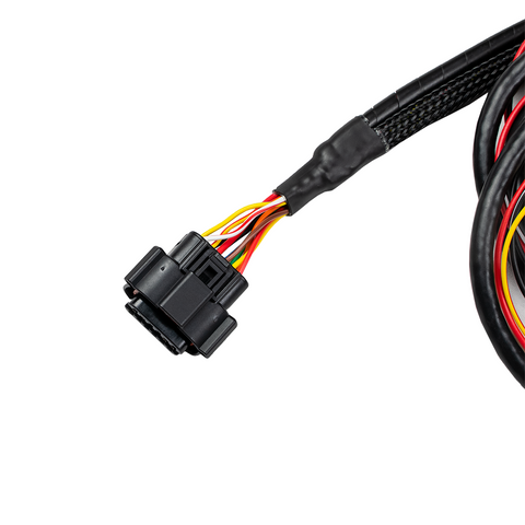 FuelTech NanoPRO LSU4.9 Harness FuelTech NanoPRO LSU4.9 Harness