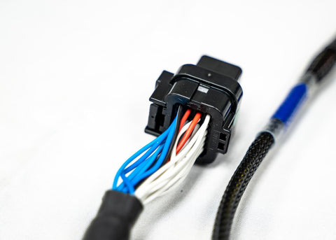 FuelTech FT450/550 4 Cylinder Universal A Harness FuelTech FT450/550 4 Cylinder Universal A Harness