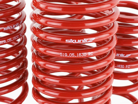 Skunk2 90-97 Honda Accord (All Models) Lowering Springs (2.00in. Skunk2 90-97 Honda Accord (All Models) Lowering Springs (2.00in.