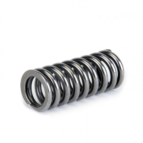 Skunk2 Alpha Series Honda D Series VTEC Valve Spring Set Skunk2 Alpha Series Honda D Series VTEC Valve Spring Set