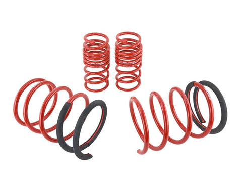 Skunk2 05-06 Acura RSX Lowering Springs (2.25in - 2.00in.) (Set) Skunk2 05-06 Acura RSX Lowering Springs (2.25in - 2.00in.) (Set)