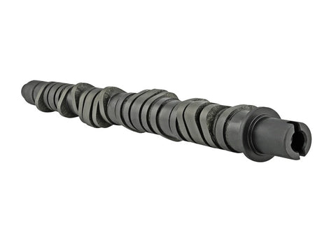 Skunk2 Tuner Series D-Series Honda Stage 2 Camshaft - 305-05-0050