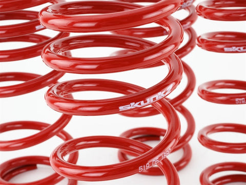 Skunk2 00-04 Honda S2000 Lowering Springs (2.00in. - 1.80in.) (Set - 519-05-1680