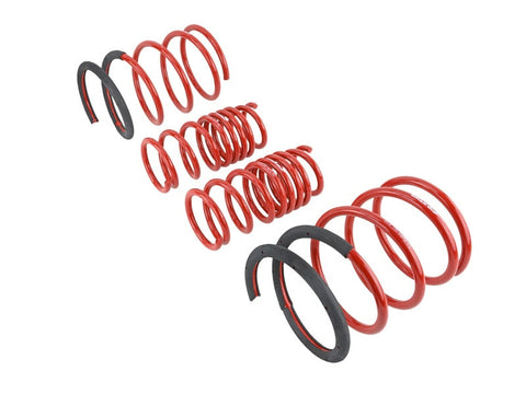 Skunk2 02-04 Acura RSX Lowering Springs (2.25in - 2.00in.) (Set - 519-05-1670