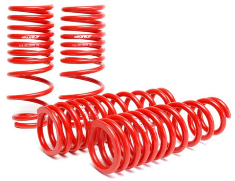 Skunk2 96-00 Honda Civic Lowering Springs (2.50in - 2.25in.) (Set - 519-05-1550