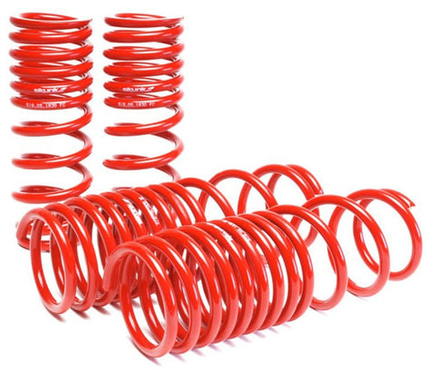 Skunk2 90-97 Honda Accord (All Models) Lowering Springs (2.00in.