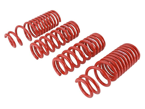 Skunk2 90-93 Acura Integra Lowering Springs (2.50in - 2.25in.) (Set - 519-05-1640