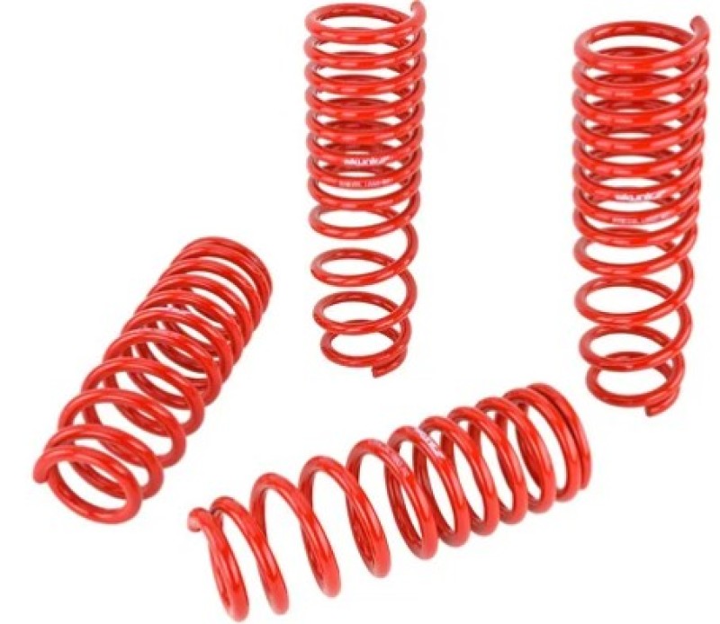 Skunk2 92-95 Honda Civic/Del Sol Lowering Springs (2.50in - 2.25in.) - 519-05-0005