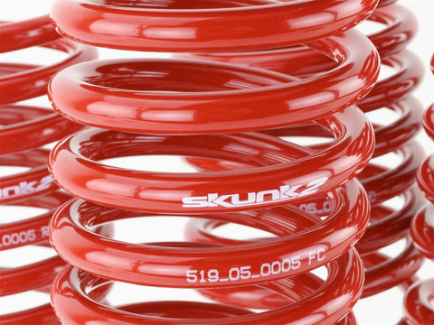 Skunk2 94-01 Acura Integra Lowering Springs (2.50in - 2.25in.) (Set - 519-05-1560