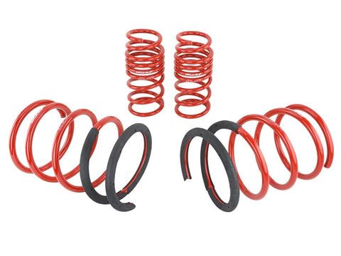 Skunk2 02-04 Acura RSX Lowering Springs (2.25in - 2.00in.) (Set - 519-05-1670