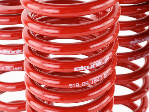 Skunk2 90-93 Acura Integra Lowering Springs (2.50in - 2.25in.) (Set - 519-05-1640