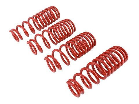 Skunk2 96-00 Honda Civic Lowering Springs (2.50in - 2.25in.) (Set - 519-05-1550