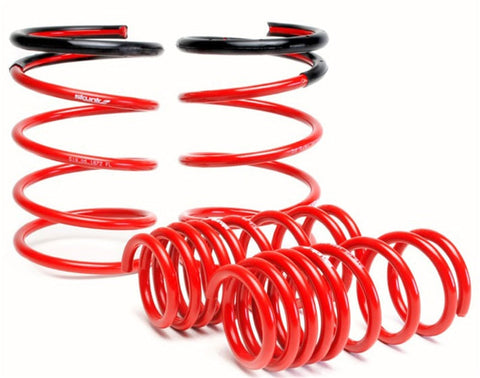 Skunk2 02-04 Acura RSX Lowering Springs (2.25in - 2.00in.) (Set - 519-05-1670