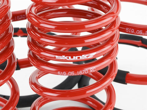 Skunk2 02-04 Acura RSX Lowering Springs (2.25in - 2.00in.) (Set - 519-05-1670