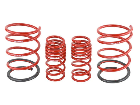 Skunk2 01-05 Honda Civic Lowering Springs (2.25in - 2.00in.) (Set - 519-05-1570