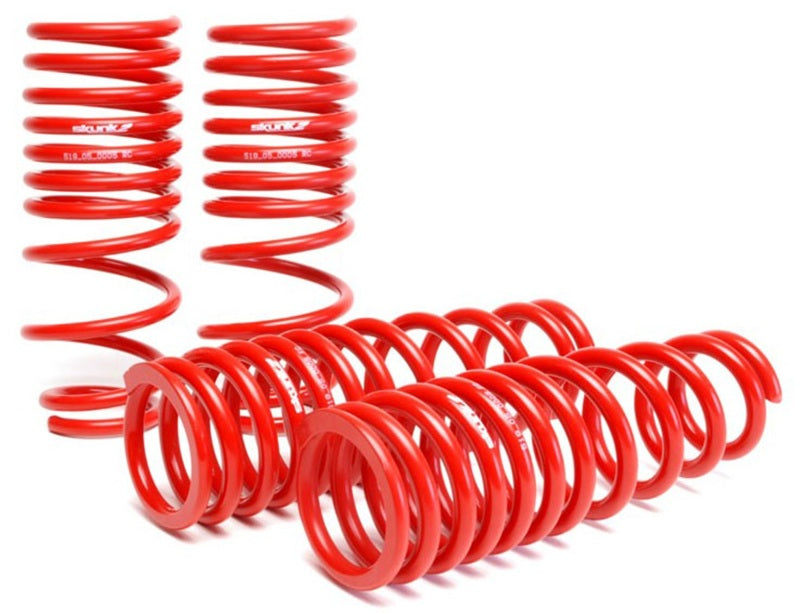 Skunk2 92-95 Honda Civic/Del Sol Lowering Springs (2.50in - 2.25in.) - 519-05-1480