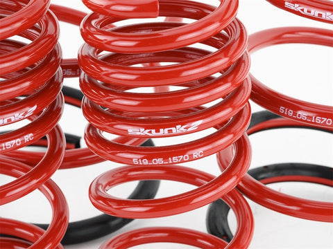 Skunk2 01-05 Honda Civic Lowering Springs (2.25in - 2.00in.) (Set - 519-05-1570