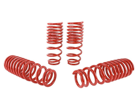 Skunk2 94-01 Acura Integra Lowering Springs (2.50in - 2.25in.) (Set - 519-05-1560