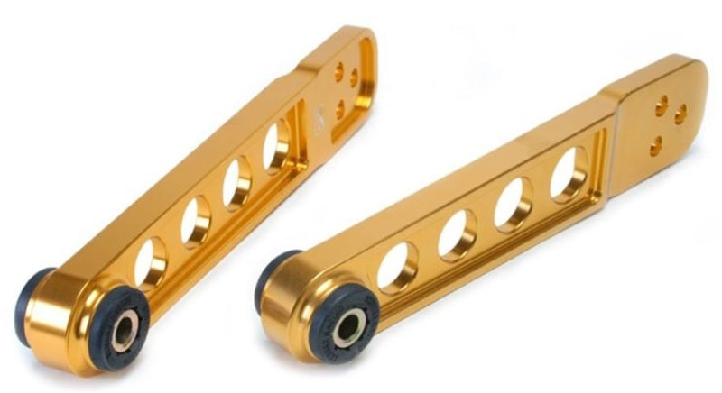 Skunk2 02-06 Honda Element/02-06 Acura RSX Gold Anodized Rear Lower - 542-05-0210