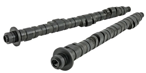 Skunk2 Pro Series 2 Honda S2000 F20C/F22C Camshafts - 305-05-5305