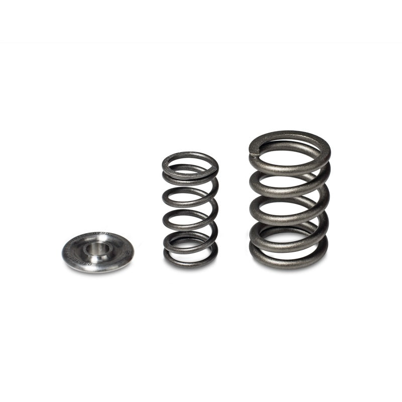 Skunk2 Alpha Series Honda/Acura H Series Valve Spring and Titanium - 344-05-1360